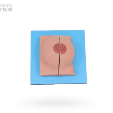 女性乳房外观模型洪宇医教