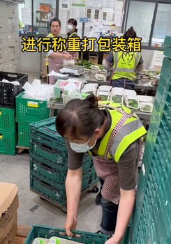 恩阳区澳门香港急招水泥工瓷砖工四川资质公司