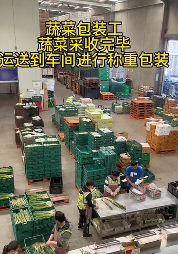 黑龙江正规资质公司合法工签-劳务输出远境协派劳务