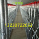 农牧场设备母猪产床定位栏适用饮水装置喂料系统