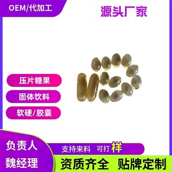 寵物魚油軟膠囊寵物營養(yǎng)補(bǔ)充劑補(bǔ)充維生素魚油批發(fā)