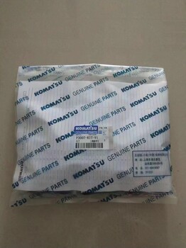 小松原廠P3007-KIT-V1KC分配閥修理包、碳環(huán)