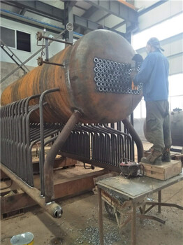 供应----新疆塔城托里生物质锅炉