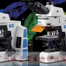 SOPTOP舜宇RX50正置荧光显微镜