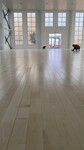 上海舞蹈室木地板羽毛球地板木地板篮球运动木地板厂家