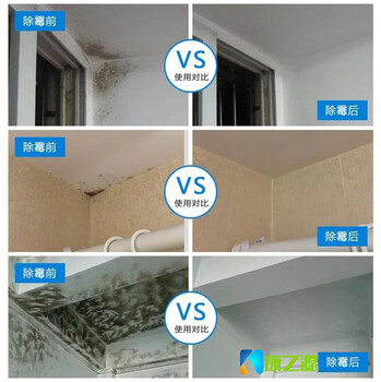 廣州天河除霉公司提供墻面除霉家具防霉服務除霉液無氧化腐蝕