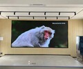 江門新會大屏幕led顯示屏安裝維修廠家上門服務