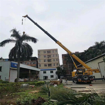 淮南市八公山區(qū)高空作業(yè)車出租哪里有_精密機械設備搬運_臺班包月
