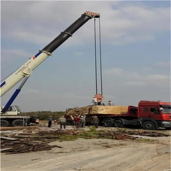 綿陽(yáng)鹽亭縣隨車吊出租公司哪家好_廠房設(shè)備搬遷搬運(yùn)_日租月租