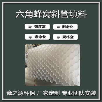 彈性組合填料過濾改性纖維球環(huán)保沉淀六角蜂窩斜管