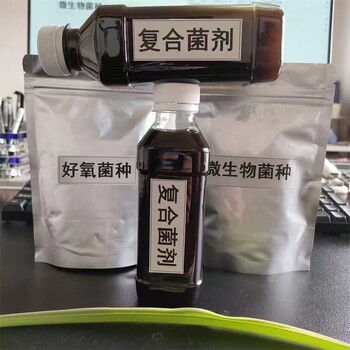 污水处理复合菌剂精选厂家微生物菌种一公斤起批发