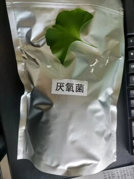 污水处理复合菌剂精选厂家微生物菌种一公斤起批发