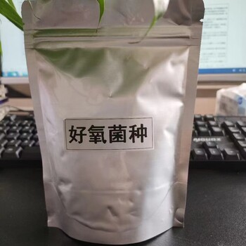 新型復合菌種/微生物促進發酵劑凈化水體厭氧菌劑除磷菌