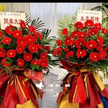 南寧匯成園藝仿真花卉仿真植物草皮訂做批發(fā)