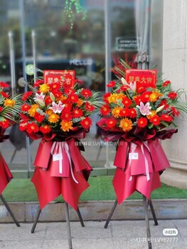 南寧匯成園藝開業(yè)花籃鮮花束綠植批發(fā)定做