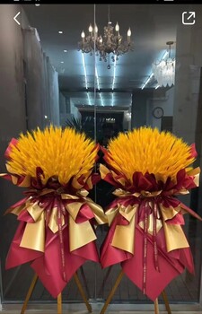 南寧匯成園藝開業(yè)花籃鮮花束綠植批發(fā)定做