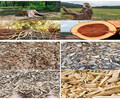 竹子粉碎机-电厂柴油木材破碎机能优惠吗