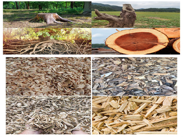贵州黔东南生物质木屑颗粒机用途广泛