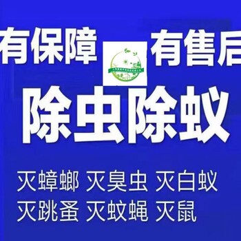 公司家庭灭鼠灭蟑螂抓老鼠灭跳蚤除蟑螂除蚁提供上门服务