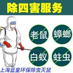 上海嘉定区学校单位食堂消杀除四害灭老鼠除蟑螂灭蚊蝇消杀除菌