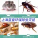 上海虹口区西餐厅灭老鼠黄浦区除白蚁上海除虫灭鼠公司