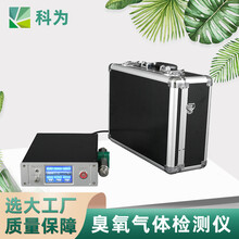 广东臭氧发生器厂家KW-300臭氧浓度检测仪臭氧监测