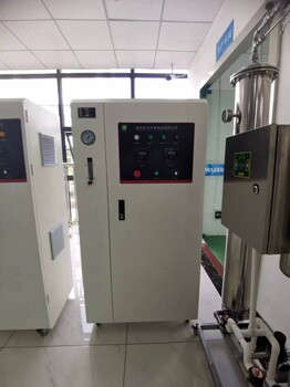貴州殺菌消毒設備CF-YSFTT-100污水處理臭氧殺菌消毒機
