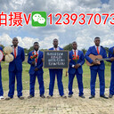 找非洲人錄生日祝福視頻多少錢(qián)黑人祝生日快樂(lè )哪里買(mǎi)怎么弄的