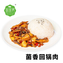 广州餐饮食堂半成品菜菌香回锅肉预制菜小碗菜即食便捷菜