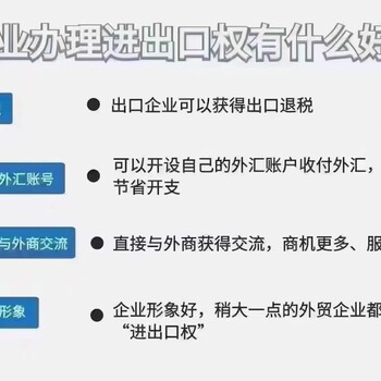 代理申請(qǐng)全國(guó)各地公司進(jìn)出口手續(xù)，海關(guān)備案，檢驗(yàn)檢疫備案號(hào)