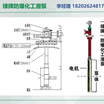 重芳烃防爆潜液泵绿牌防爆液下泵区别于红夹克潜油泵