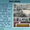 石家莊綠牌75立大流量電動鶴管潛油泵Ga防爆化工液下泵