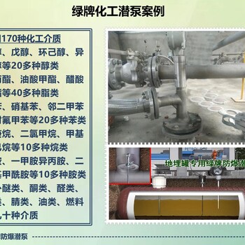 黑龙江地下罐用立式化工泵Ga等级防爆液下泵