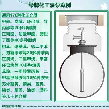 漳州市供绿牌304不锈钢液下泵Ga防爆化工潜液泵