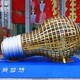 電燈泡 (5)