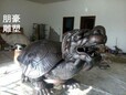 中式铜乌龟雕塑生产商-大型标识供需-校园铜乌龟雕塑异形类