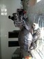 主题铜乌龟雕塑生产-彩色种类订做-学校铜乌龟雕塑摆件
