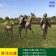 50da81cb39dbb6fd778a60710f24ab18962b3797