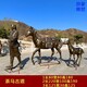 50da81cb39dbb6fd778a60710f24ab18962b3797