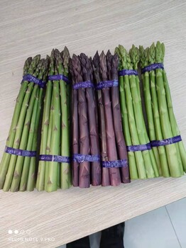 西城康愛草1號紫蘆筍嗎批發(fā)零售,白蘆筍苗適合幾月份移栽