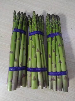 和平區(qū)荷塘月色F1高產(chǎn)蘆筍種子供應(yīng),蘆筍苗幾月份種植好
