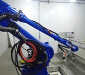噴涂機器人工業機器人噴涂智能點膠沖壓機器人防爆噴涂機械手