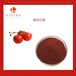 番茄红素10%25千克桶装粉末