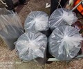 泸州氯化钯回收氧化钯回收公司