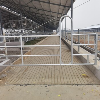 养殖牛舍隔栏门整体热镀锌加厚支持现场尺寸定制