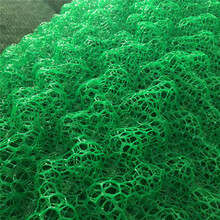 英科三维植被网EM3高速护坡客土喷播绿色护坡土工网垫