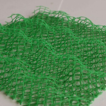 EM3三维植被网厂家现货销售塑料三维网垫