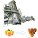 厂家供应大中小型成套交钥匙桃杏酱生产线加工设备