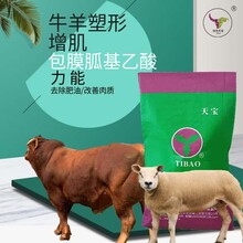 绿色天宝牛羊催肥去肥油长瘦肉提高生长速度效果显著