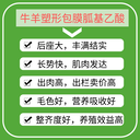 讀懂牛羊為什么要使用包膜胍基乙酸？